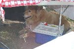 51_2008-0830-1428-22.jpg